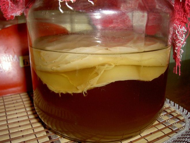 Как вырастить чайный гриб с нуля в домашних условиях зародить гриб рецепт пошагово с фото