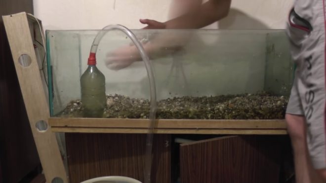 Чистим аквариум с рыбками своими руками правильно