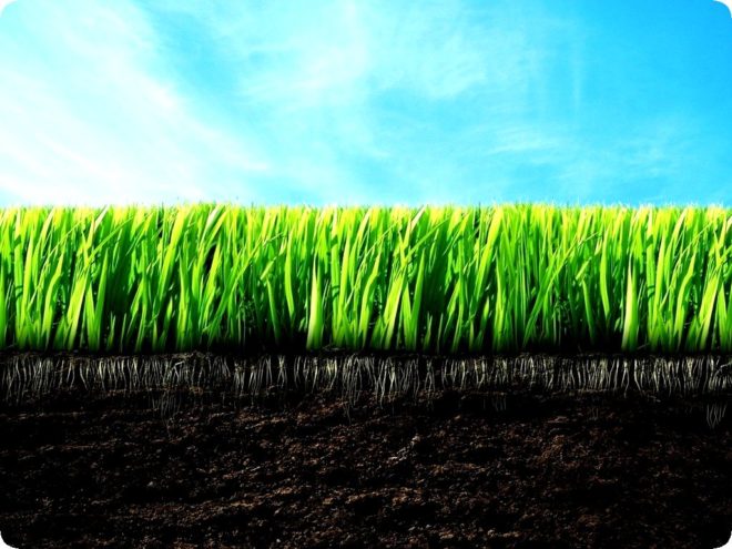 Как правильно перекапывать землю в огороде и нужно ли – советы агрономов и правила выполнения