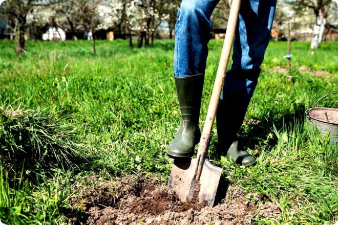 Как правильно перекапывать землю в огороде и нужно ли – советы агрономов и правила выполнения