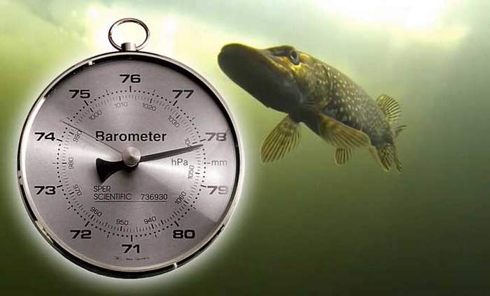 Самодельный барометр для рыбалки ? мастер-класс