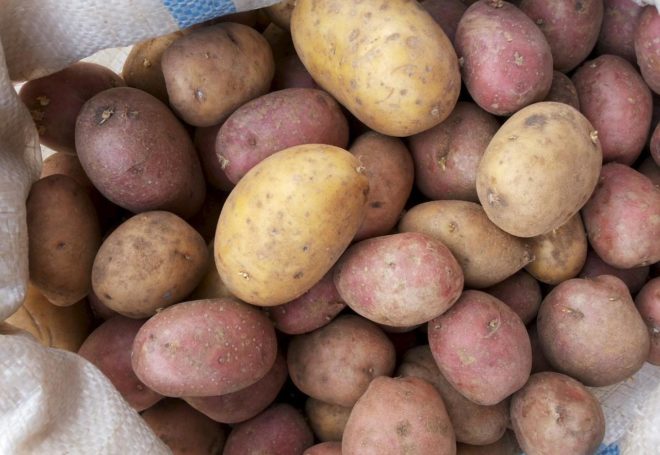 Как сажать картофель весной, чтобы был хороший урожай
