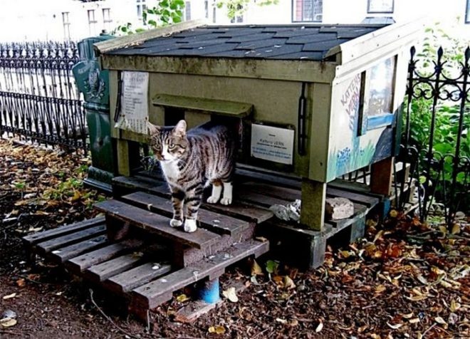 Зимний домик для бездомных котов своими руками
