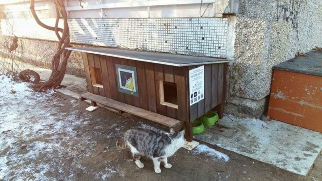 Зимний домик для бездомных котов своими руками