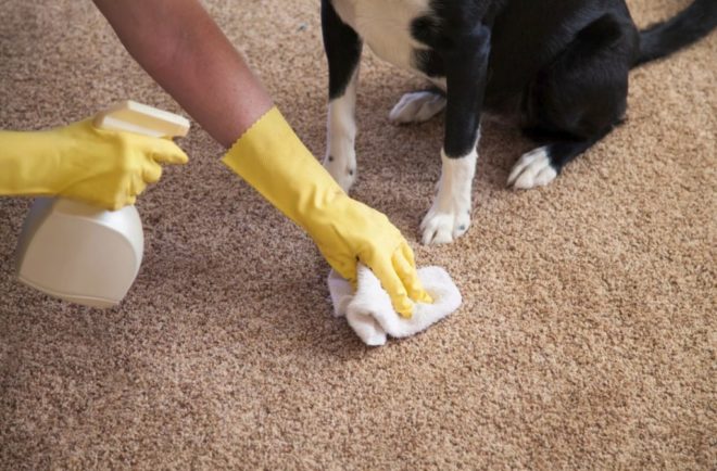 Как быстро почистить ковер дома от грязи и запаха