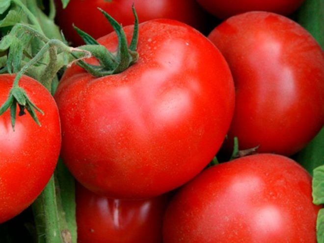 Новинки сортов Томатов в 2020 Сад и огород,новые сорта томатов 2020,сад и огород,томаты