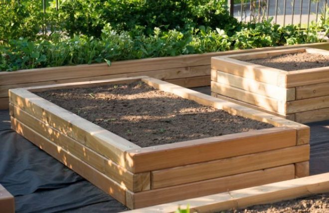 Как сделать дизайн огорода с грядками на даче