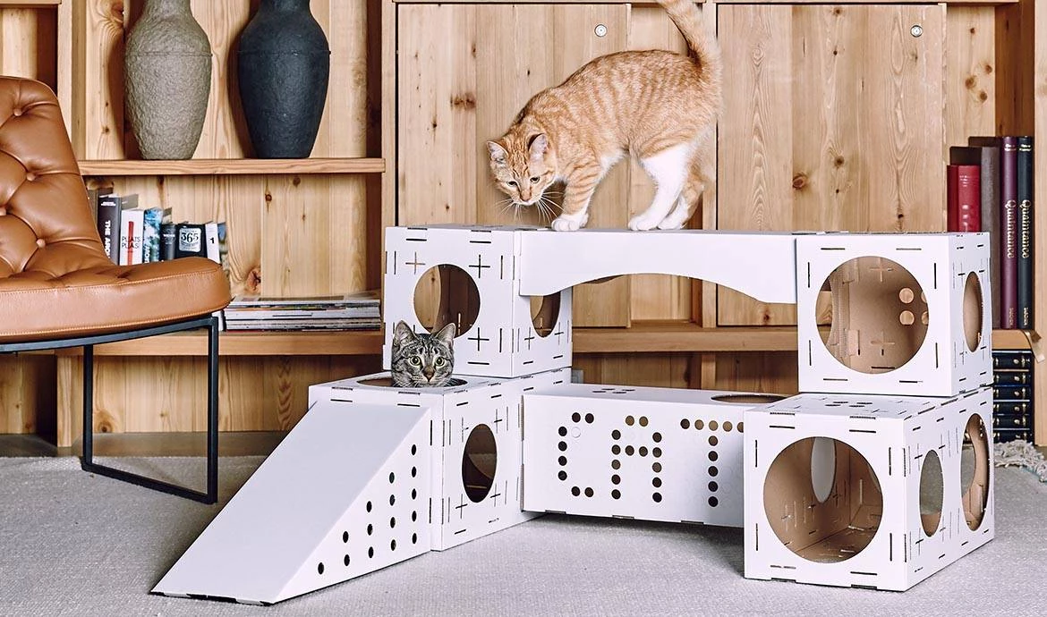Как из коробки сделать домик для кота? Из коробок.